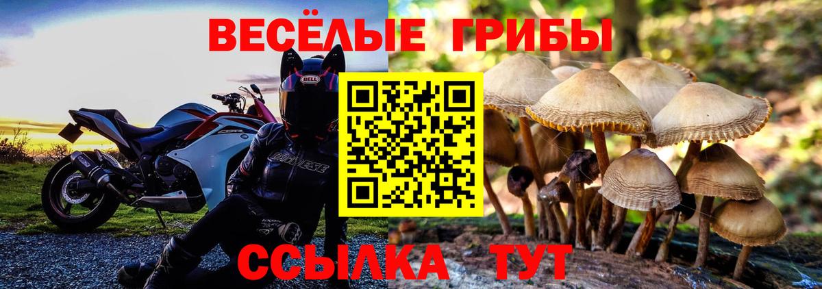 Галлюциногенные грибы ЛСД Павлово