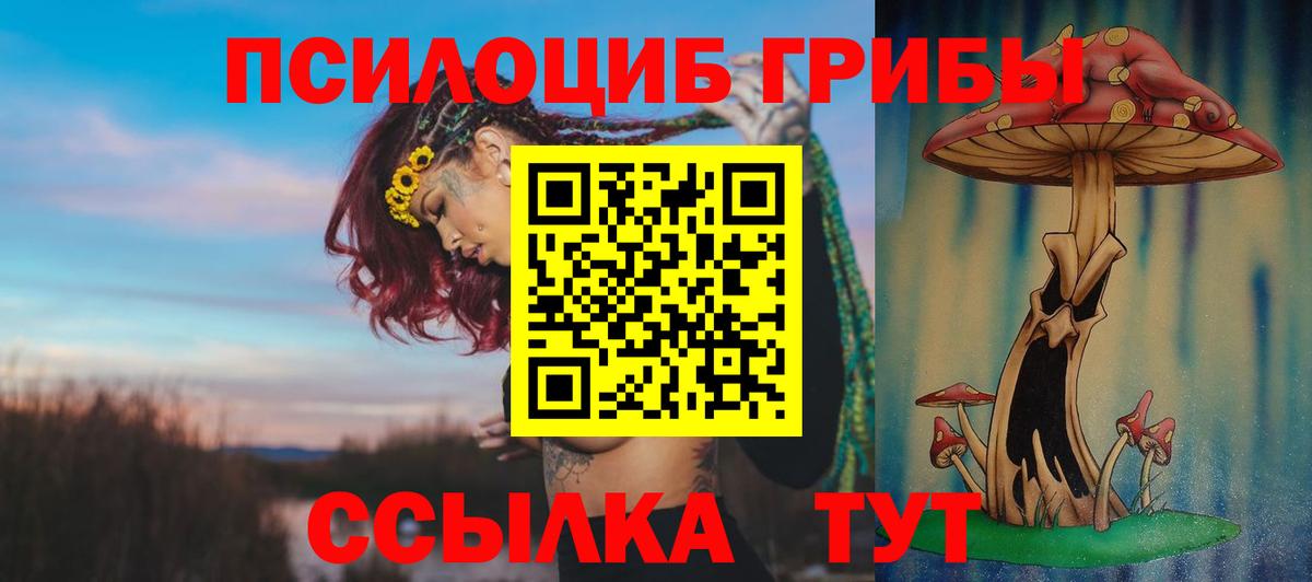 Павлово  Галлюциногенные грибы Cubensis  Вход с VPN 